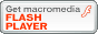 Macromedia Flash Player_E[hTCg